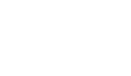 Museum of the Southern Jewish Experience New Orleans Logo